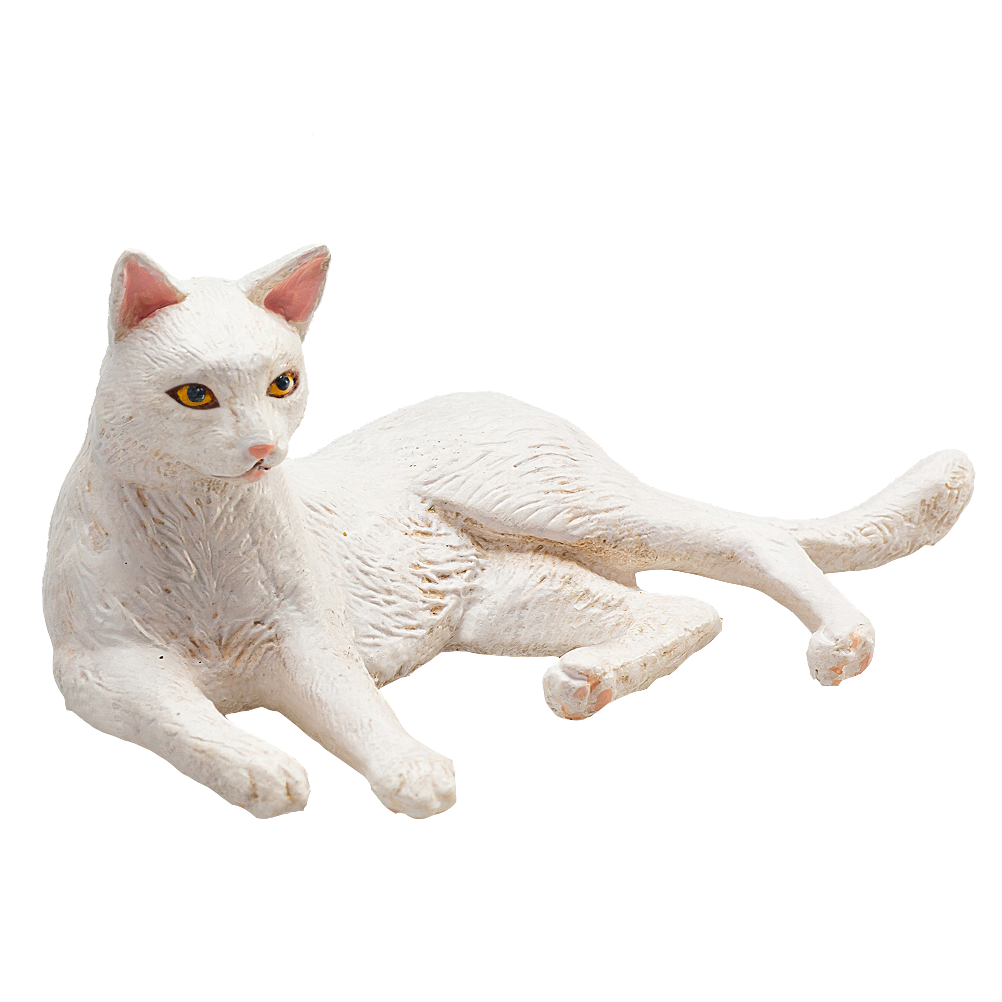 Cat Lying White