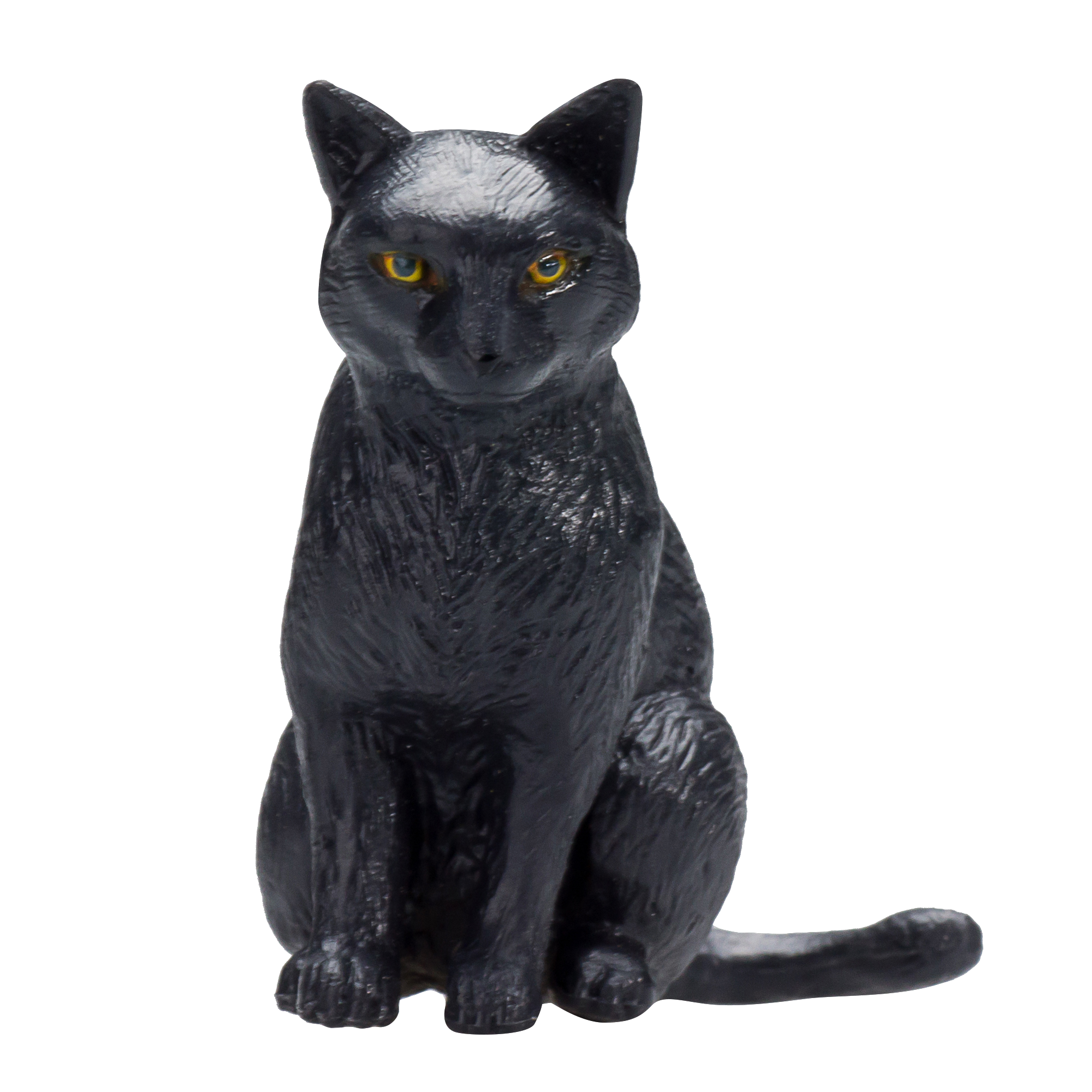 Cat Sitting Black