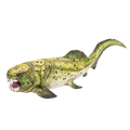 Dunkleosteus