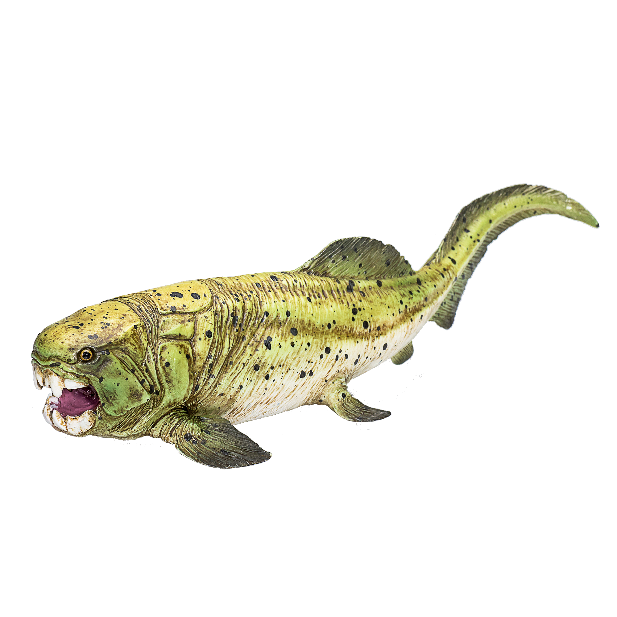 Dunkleosteus