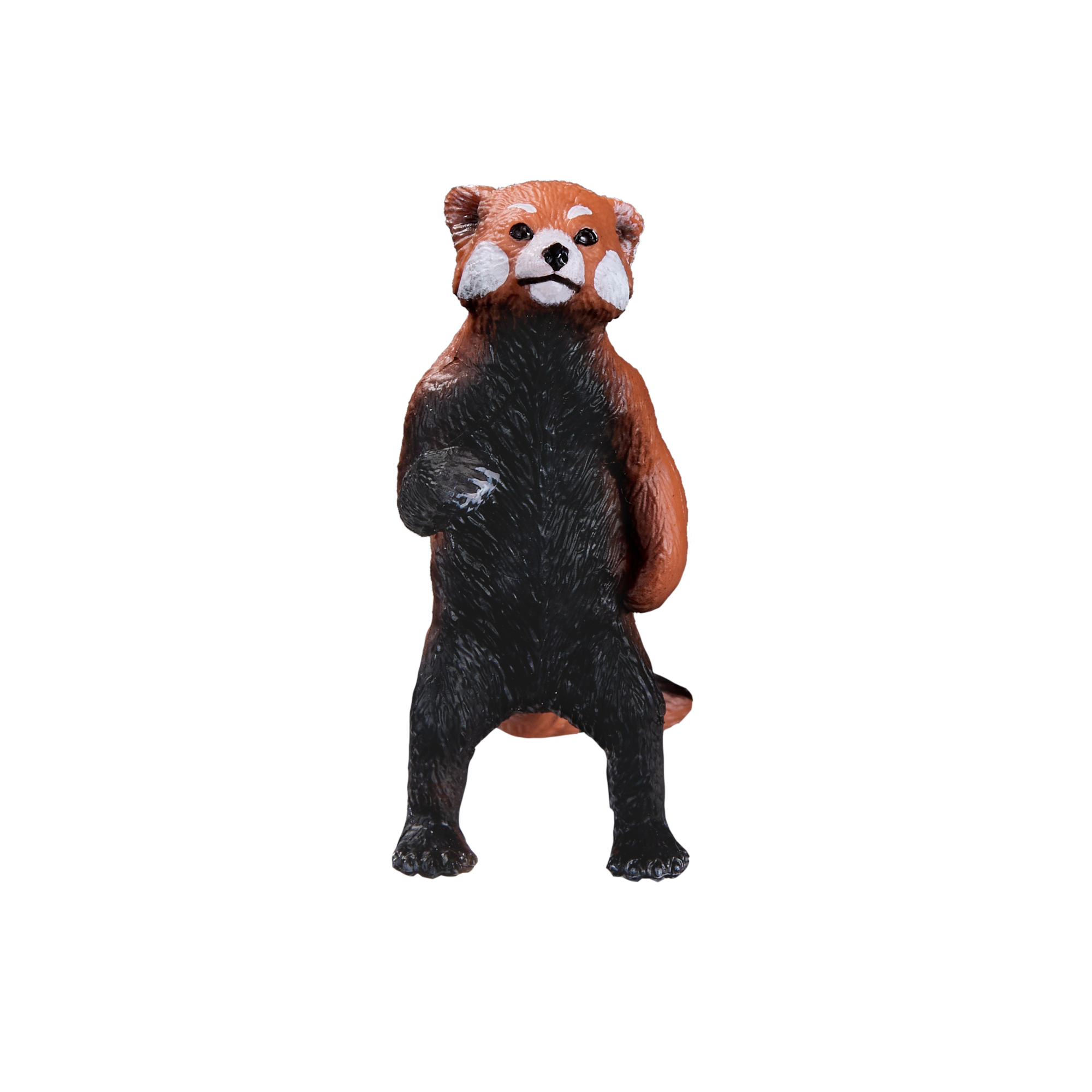 Red Panda