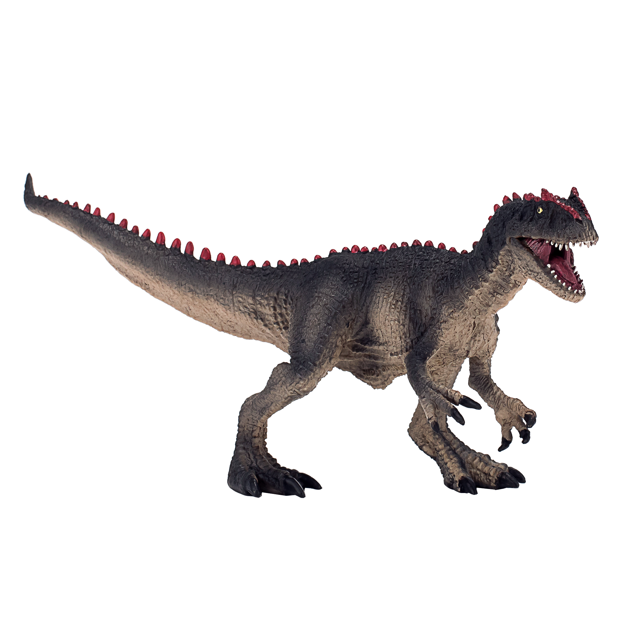 Allosaurus with Articulated Jaw