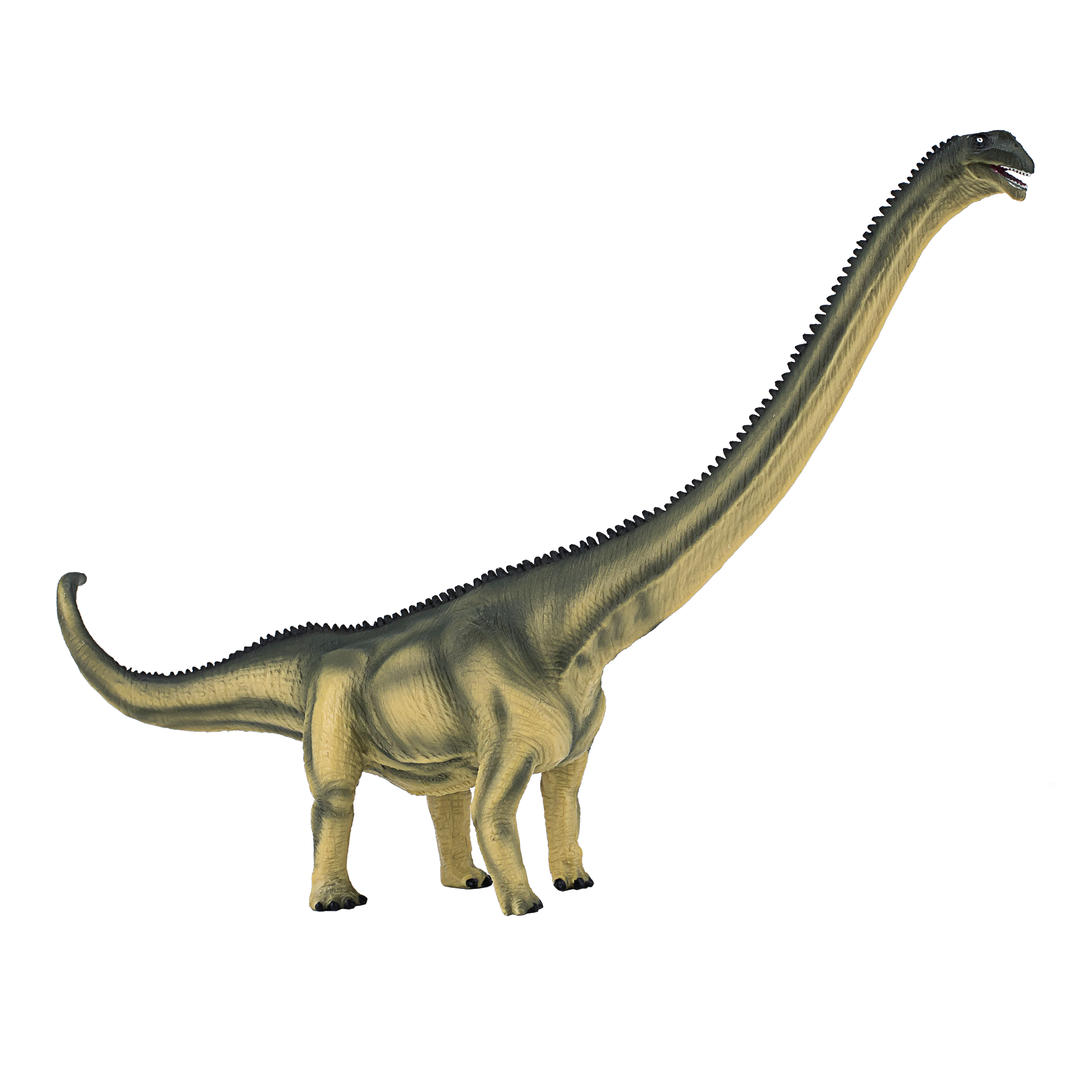 Deluxe Mamenchisaurus