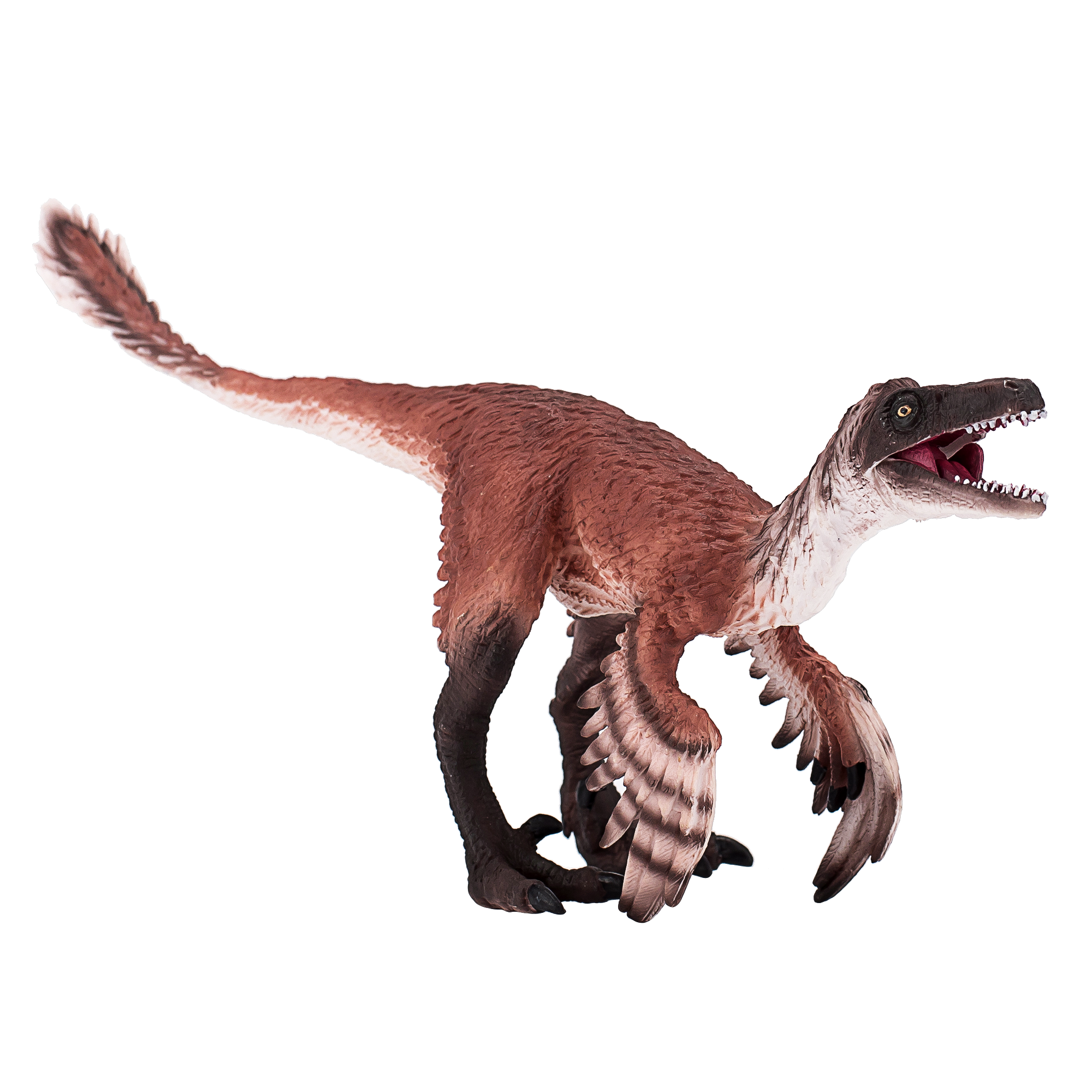 Troodon with Articulated Jaw