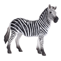 Zebra Mare