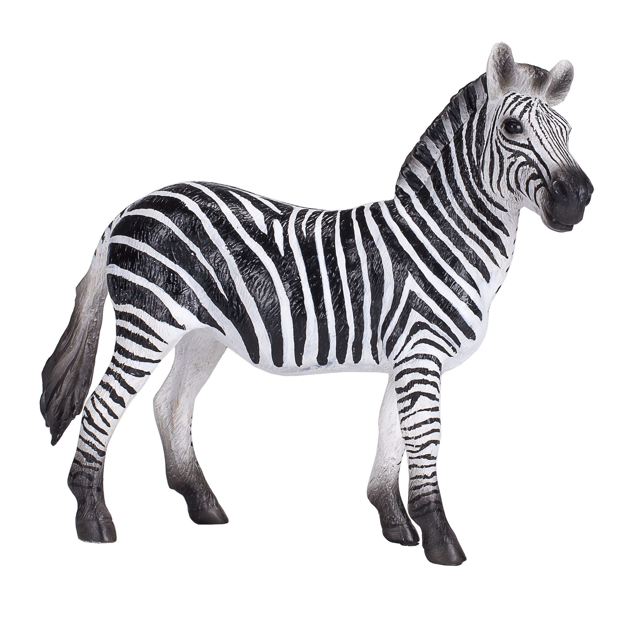 Zebra Mare