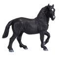 Percheron