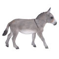 Donkey