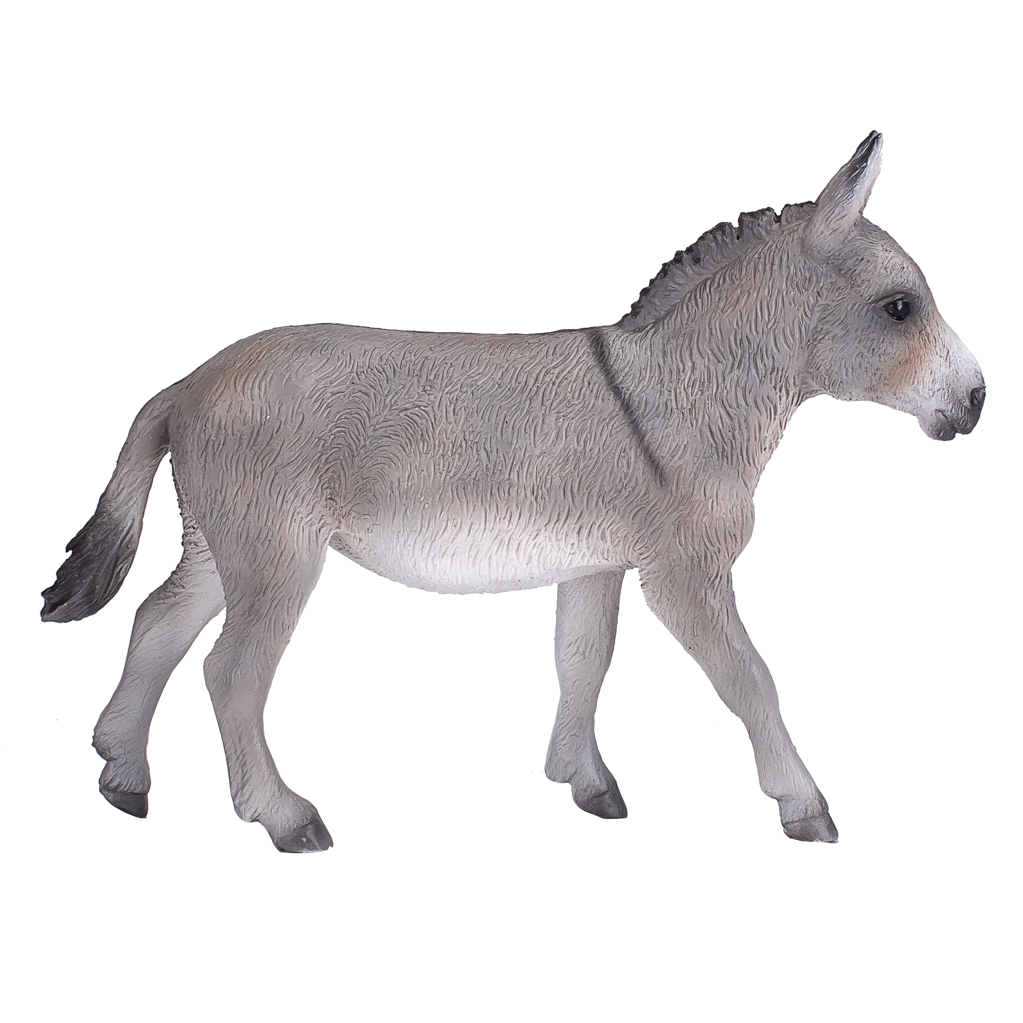 Donkey