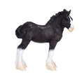 Shire Foal