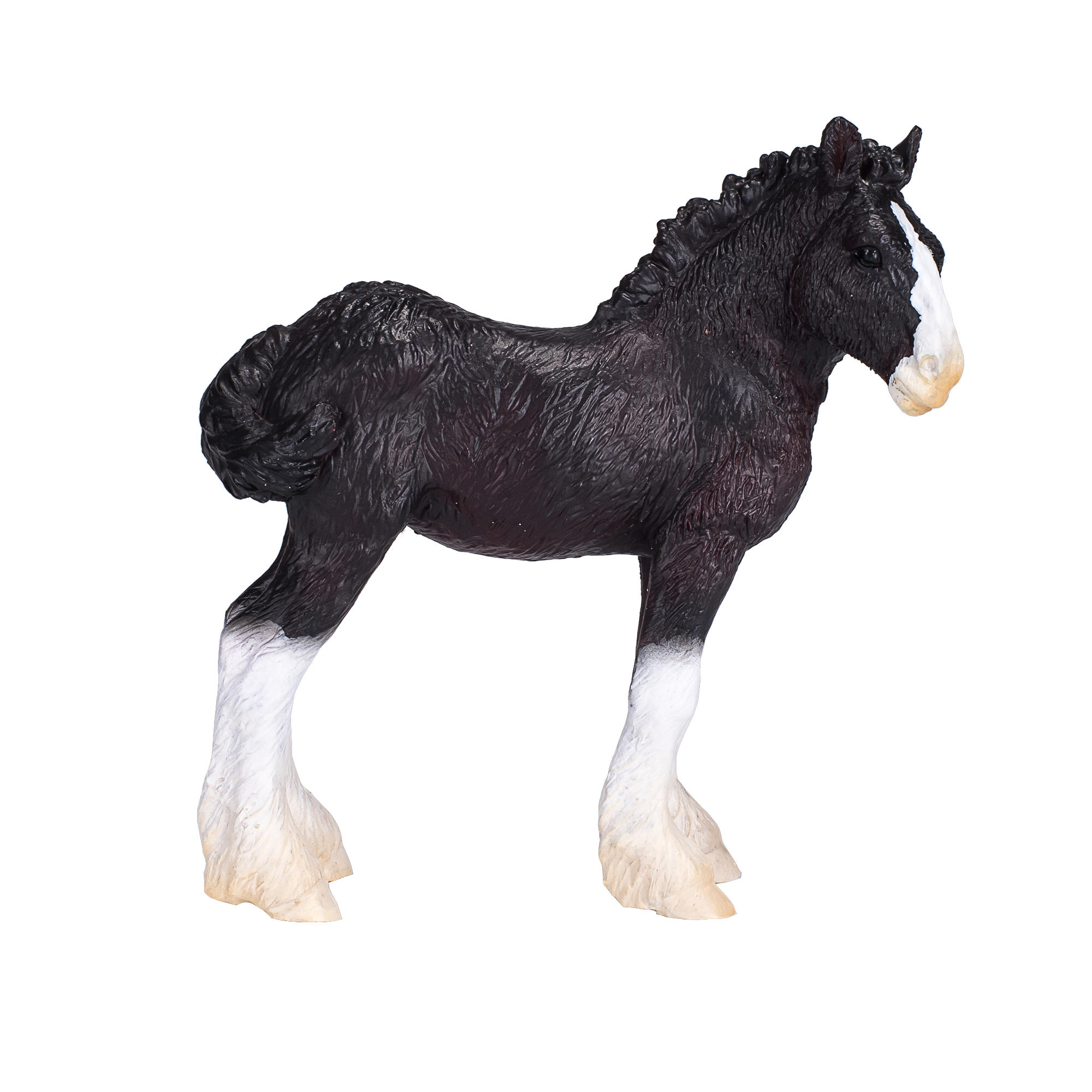 Shire Foal