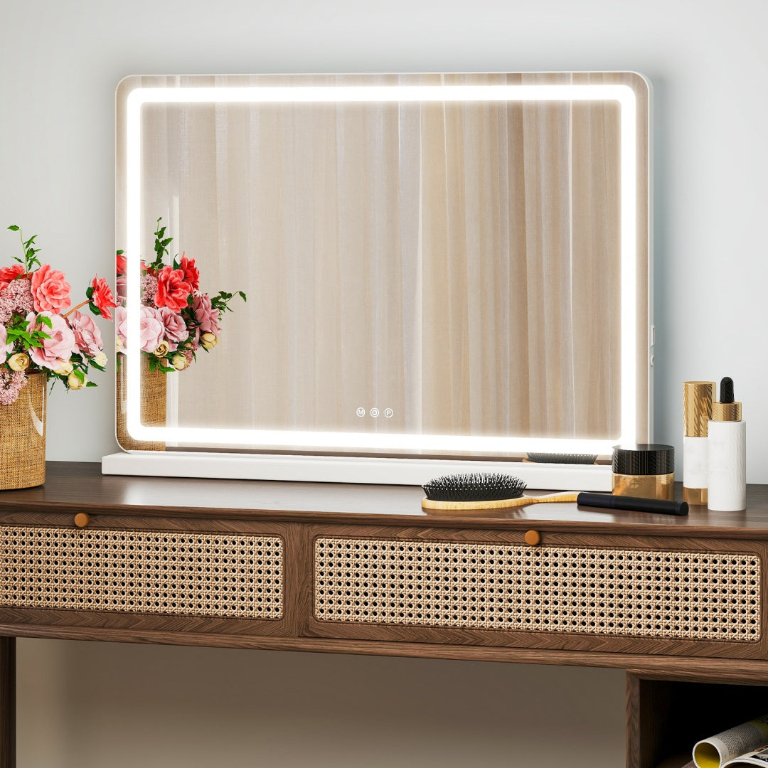 Makeup Mirror W/ Dimmable 3 Color Modes Touch Screen Control Vanity - 19x22 in