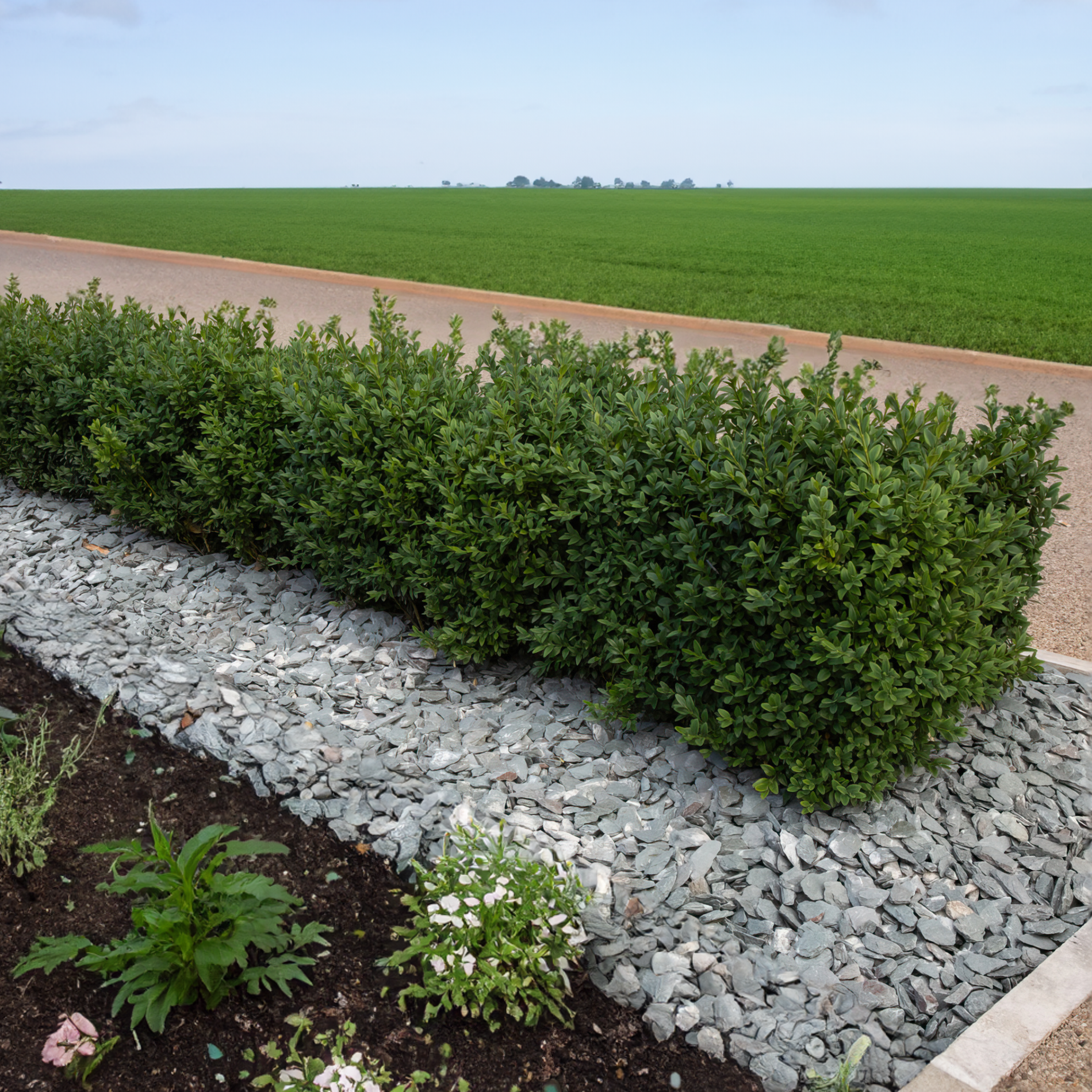 40mm Green Slate Chippings - Half Bulk Bag / Green