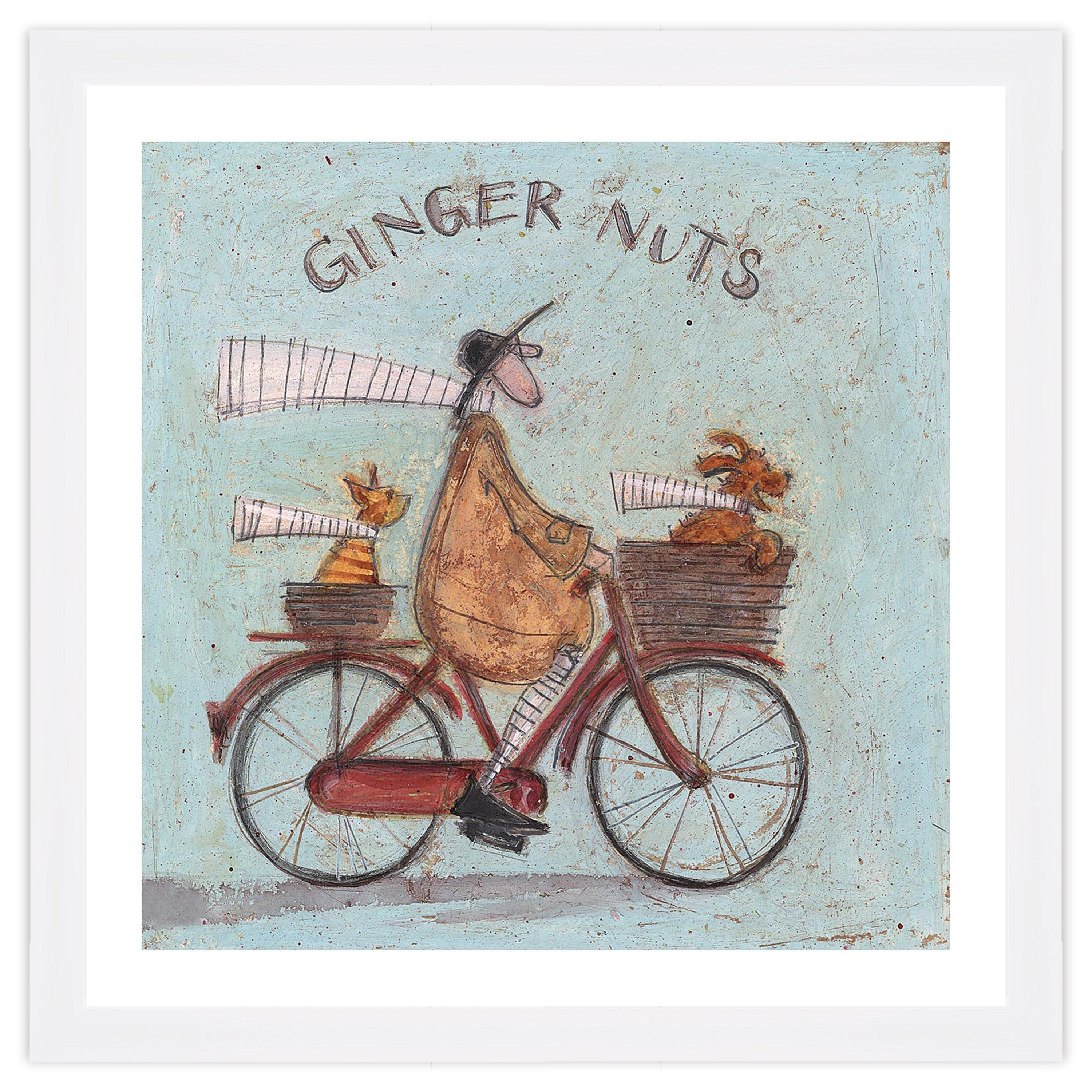 Ginger Nuts - 40 x 40cm / Standard Ivory / White 22mm