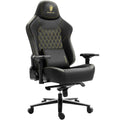 Dowinx Titan Series LS-66D1A Black – 200kg Load Capacity