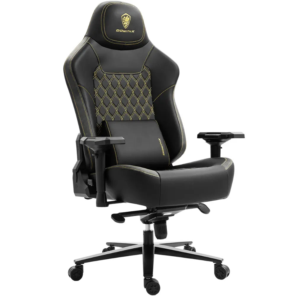 Dowinx Titan Series LS-66D1A Black – 200kg Load Capacity