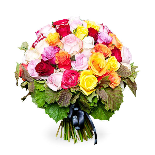 Sunshine Rose Mix - Standard
