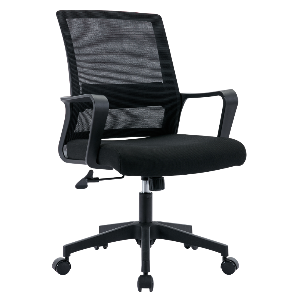 Sedia da Ufficio Ergonomica da Scrivania, Girevole e Regolabile Supporto Lombare - Nero