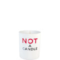 Not a Candle - 180ML