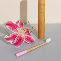 Truthbrush Bamboo Toothbrush - Medium bristles - Petal Pink