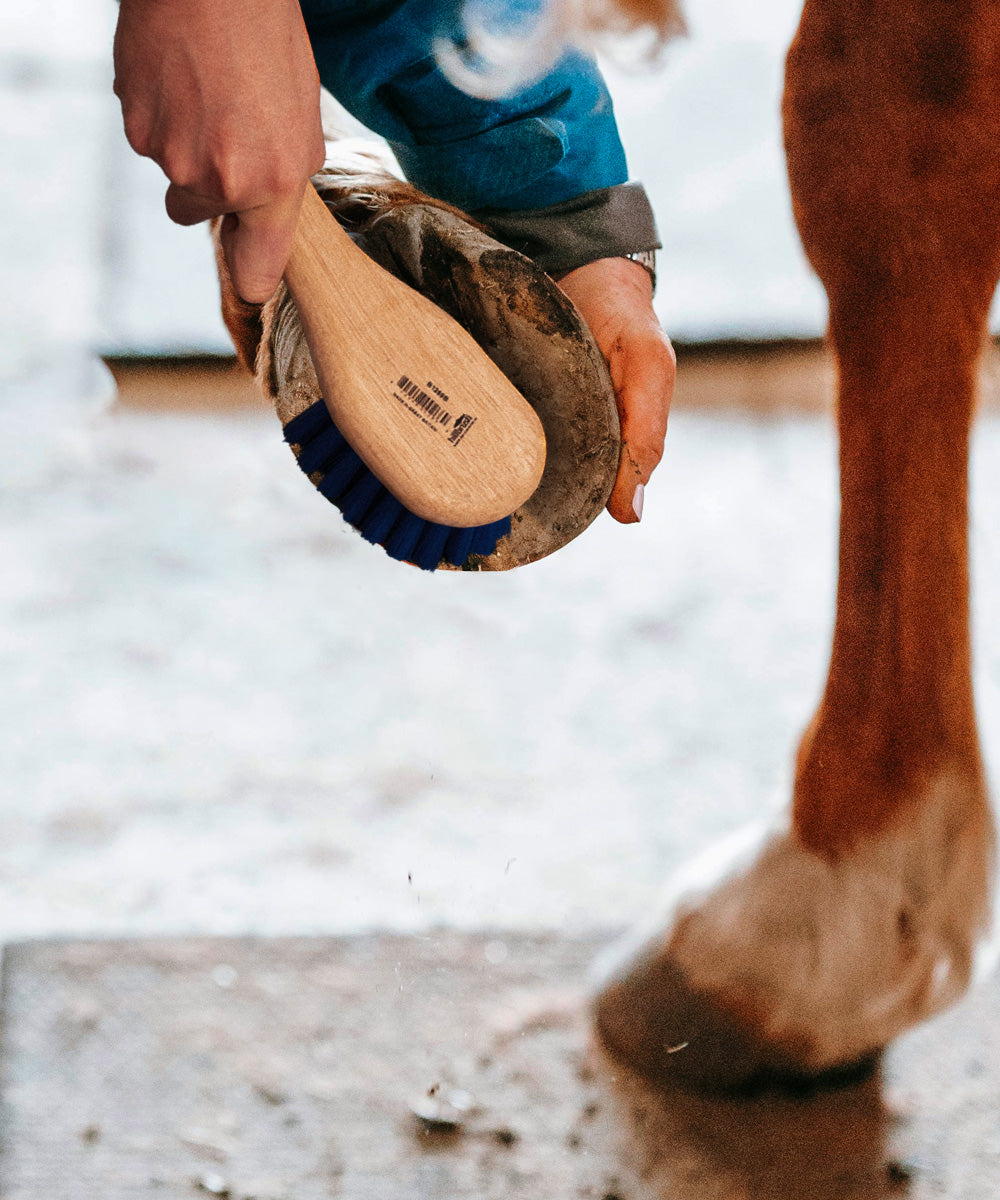 Traditional Wooden Bucket & Hoof Brush - Medium Stiff - Polypropylene / 244mm 69mm 59mm