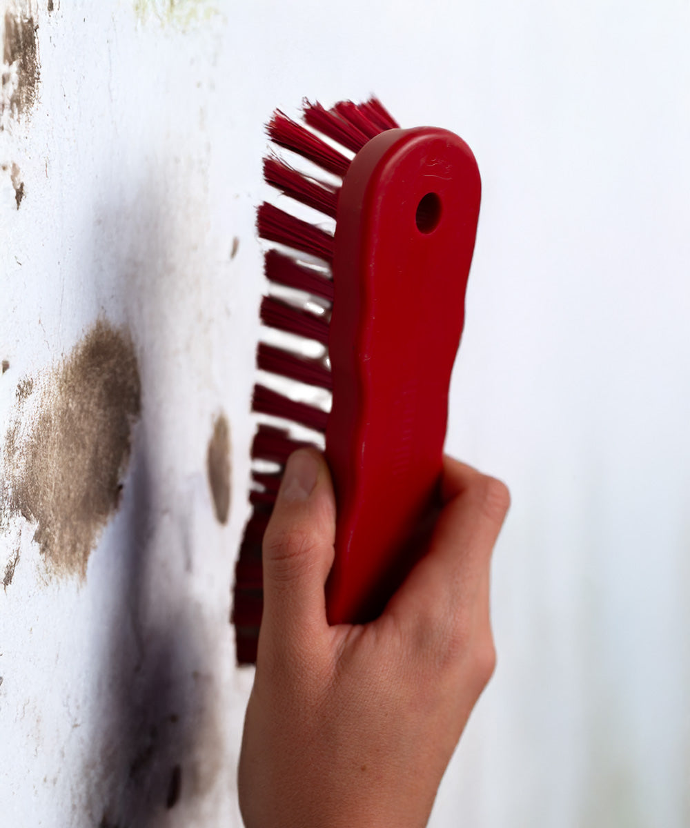 Everyday Hand Scrub Brush - Red (Stiff) - Polypropylene / 180mm 50mm 45mm