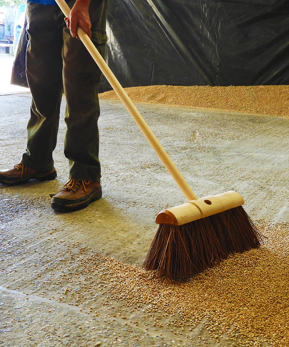 Traditional Wooden Yard Broom - Stiff - Sherbro/Polypropylene / 140cm 33cm 17cm 1.5kg