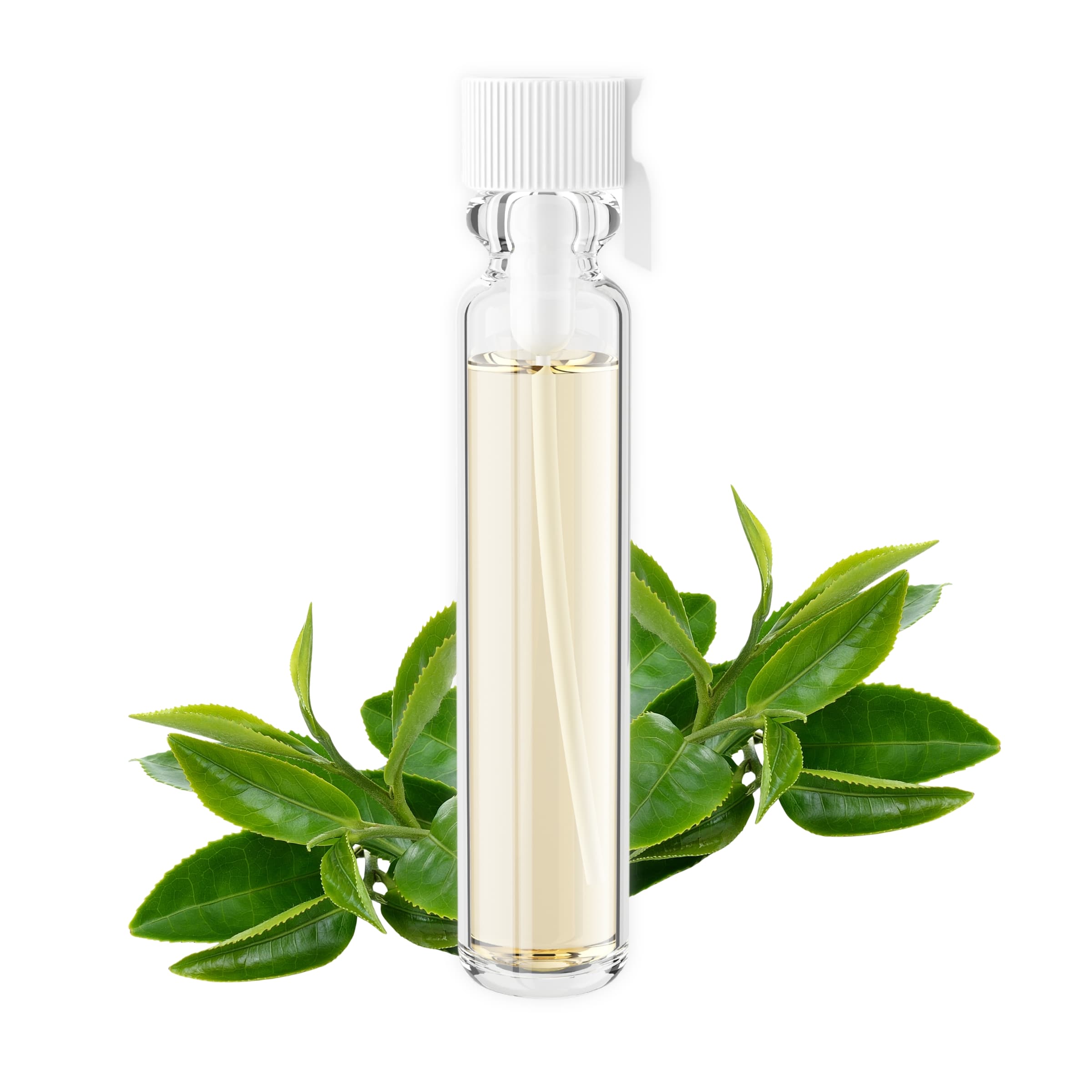 Green Tea Essential Oil CO2 Extract – Natural Scalp Treatment & Hair Growth Oil | Antioxidant Skin Serum for Sensitive - 0.06 Fl Oz ( Sample Vial)
