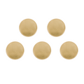 Brass Commemorative Coins (5pcs)