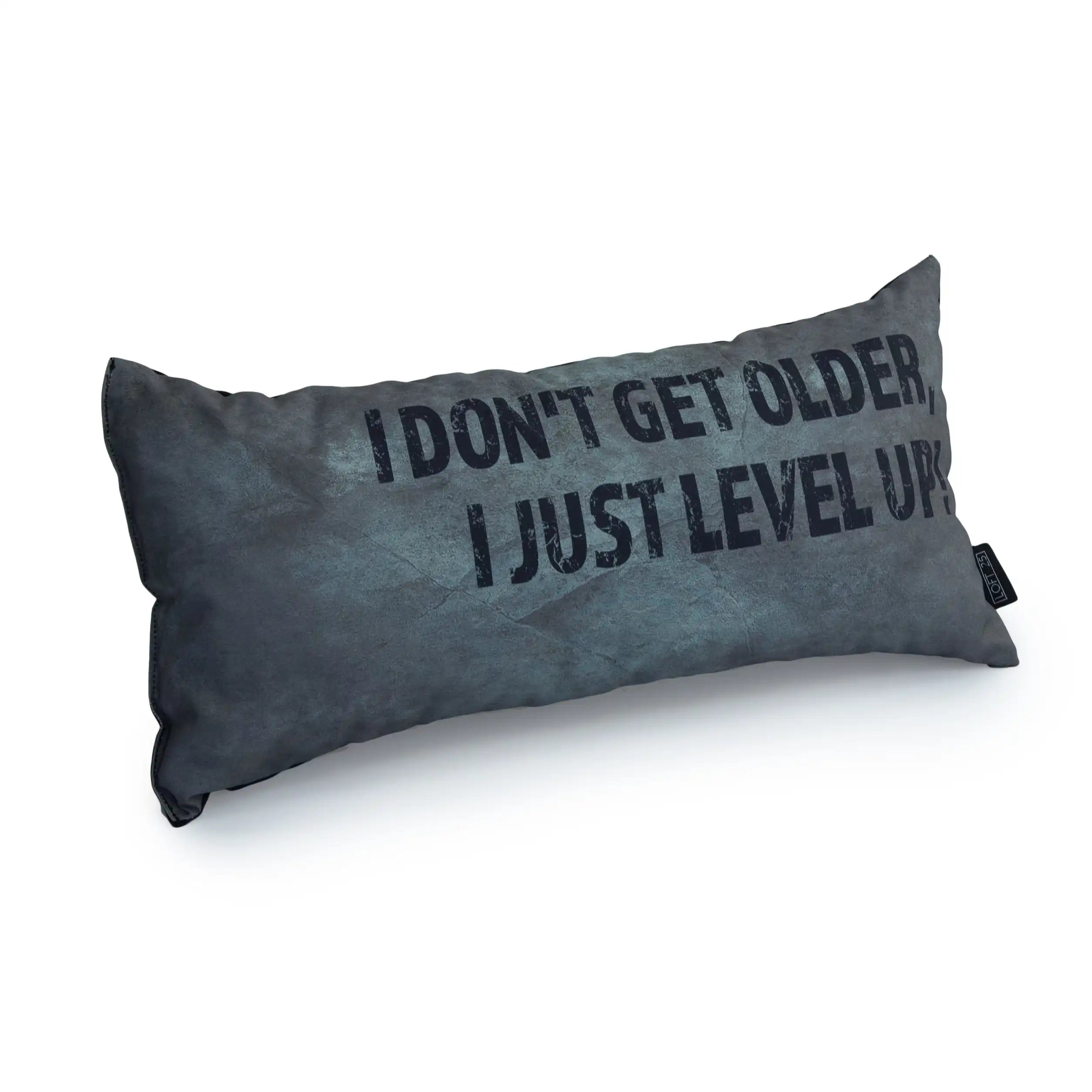 Gaming Cushion - I Don't Get Older, I Just Level Up! - Silver