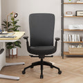 COLAMY Neza Ergonomic High Back Mesh Office Chair - Dark Grey