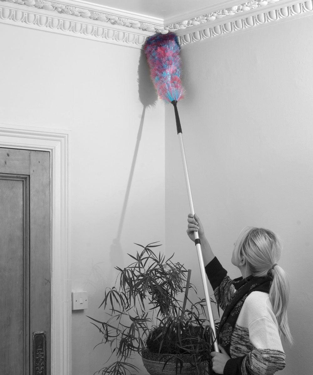 Everyday Duster Cobweb Brush with Extending Handle -  Extra Soft - PVC / 750mm 71mm 51mm 0.300g