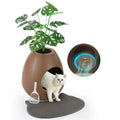 Coziwow Eggloa6 2-in-1 Cat Litter Box & Cat Bed - Brown / Ventilated Upgraded Set