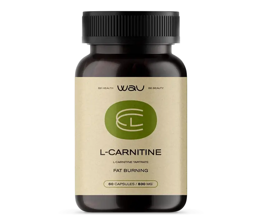 L-CARNITINE — сжигание жира