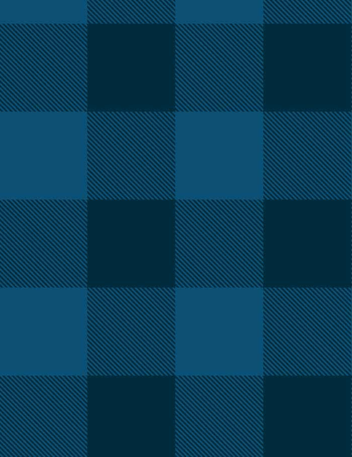 'Check Baby Check' Wallpaper by Wallshoppe - Indigo - Traditional / 27 in. x 12 ft.