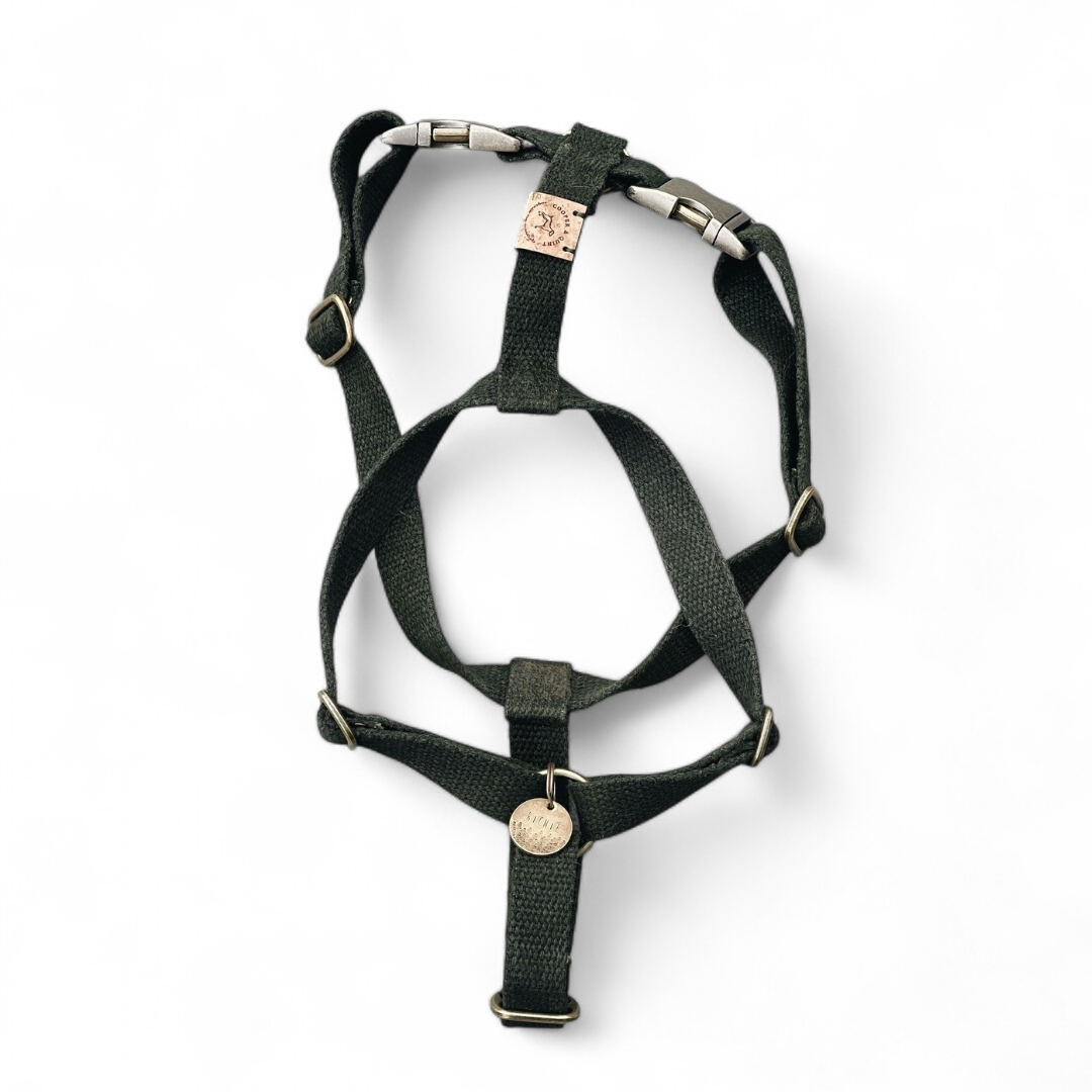 Simply Hemp Hondentuig | Bosgroen - Extra Small