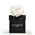 Single White Rose in a Box