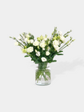 White Eustoma (Lisianthus)