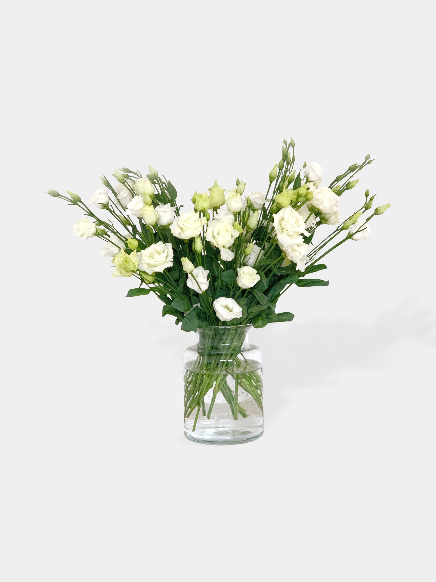 White Eustoma (Lisianthus)