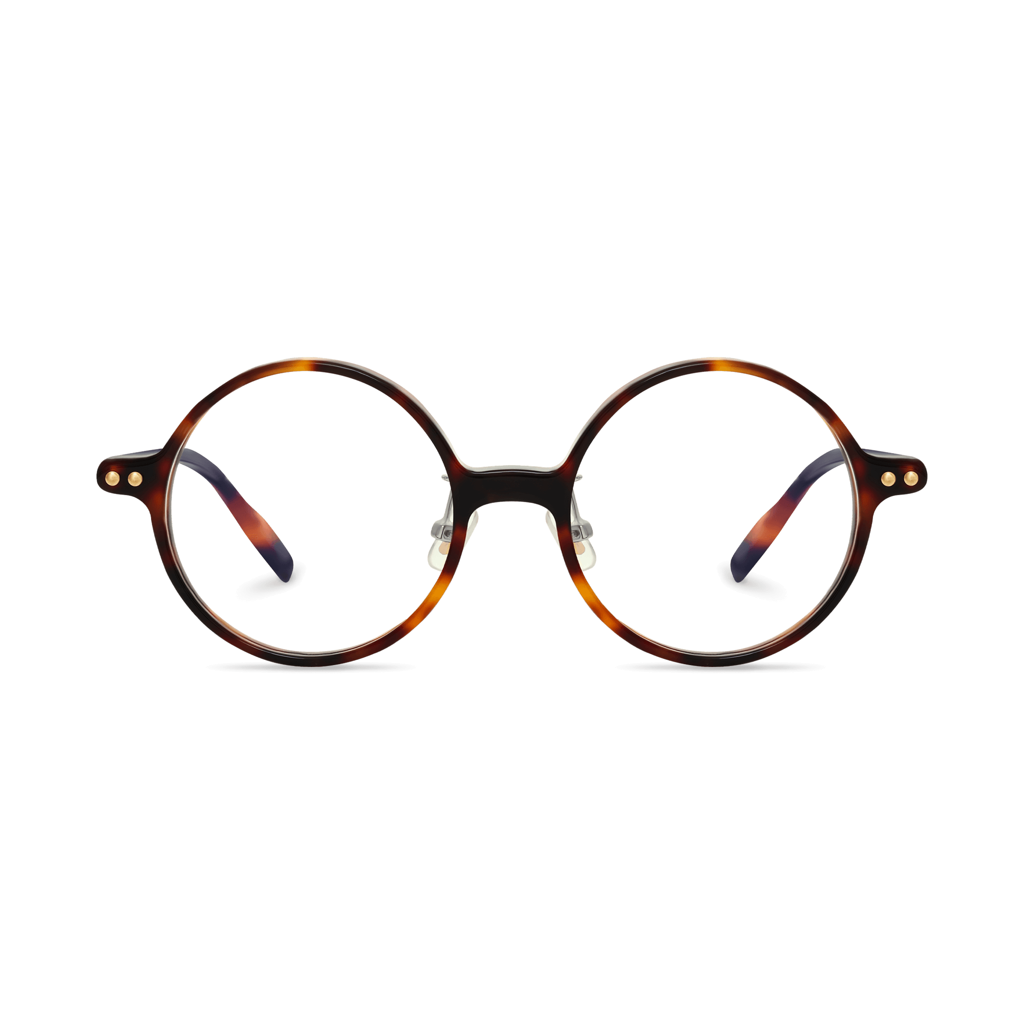 Delilah - Amber Tortoise