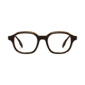 Soren - Brown Tortoise