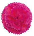 Flower Making Kit - Classic Carnations - FUCHSIA