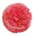 Flower Making Kit - Classic Carnations - PINK
