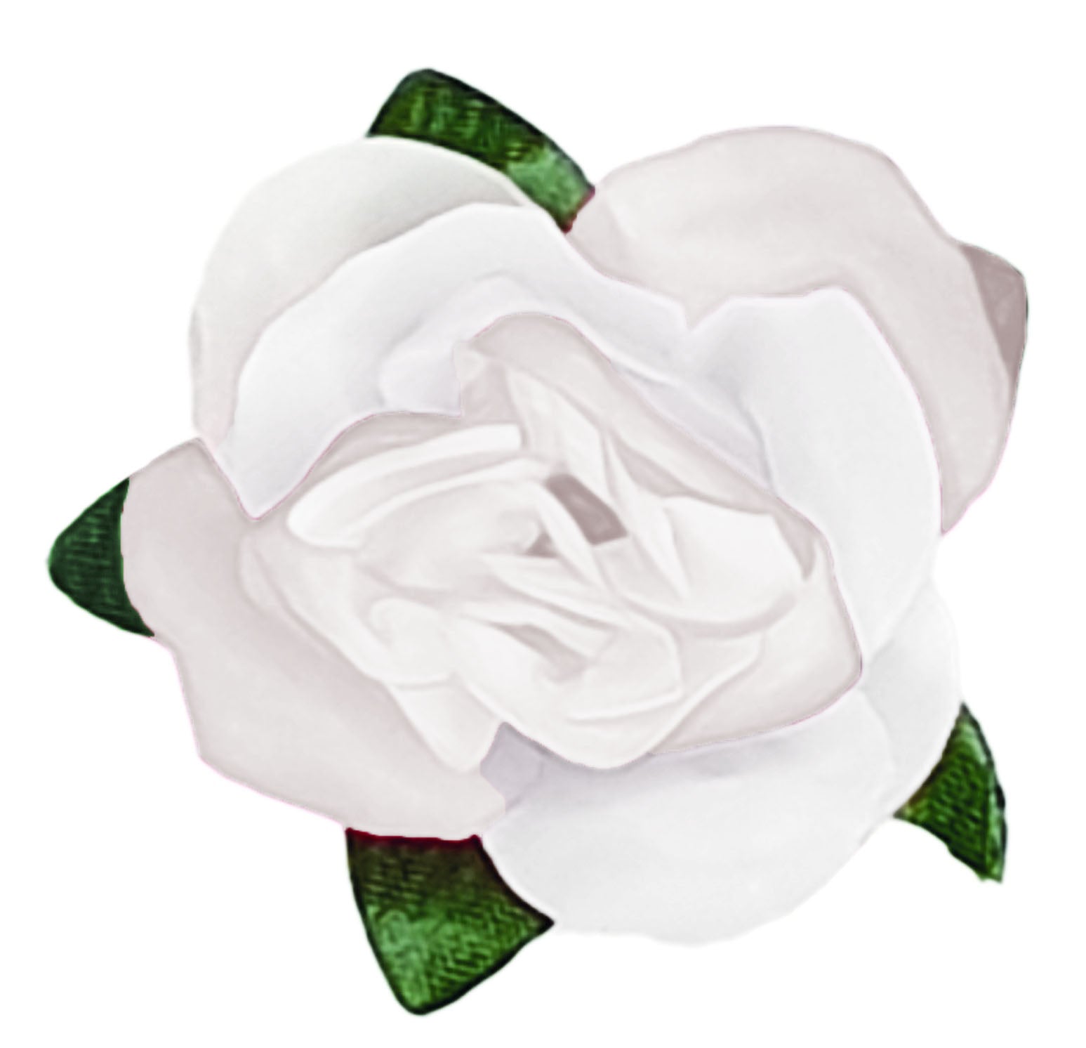 Flower Making Kit - Romantic Roses - WHITE