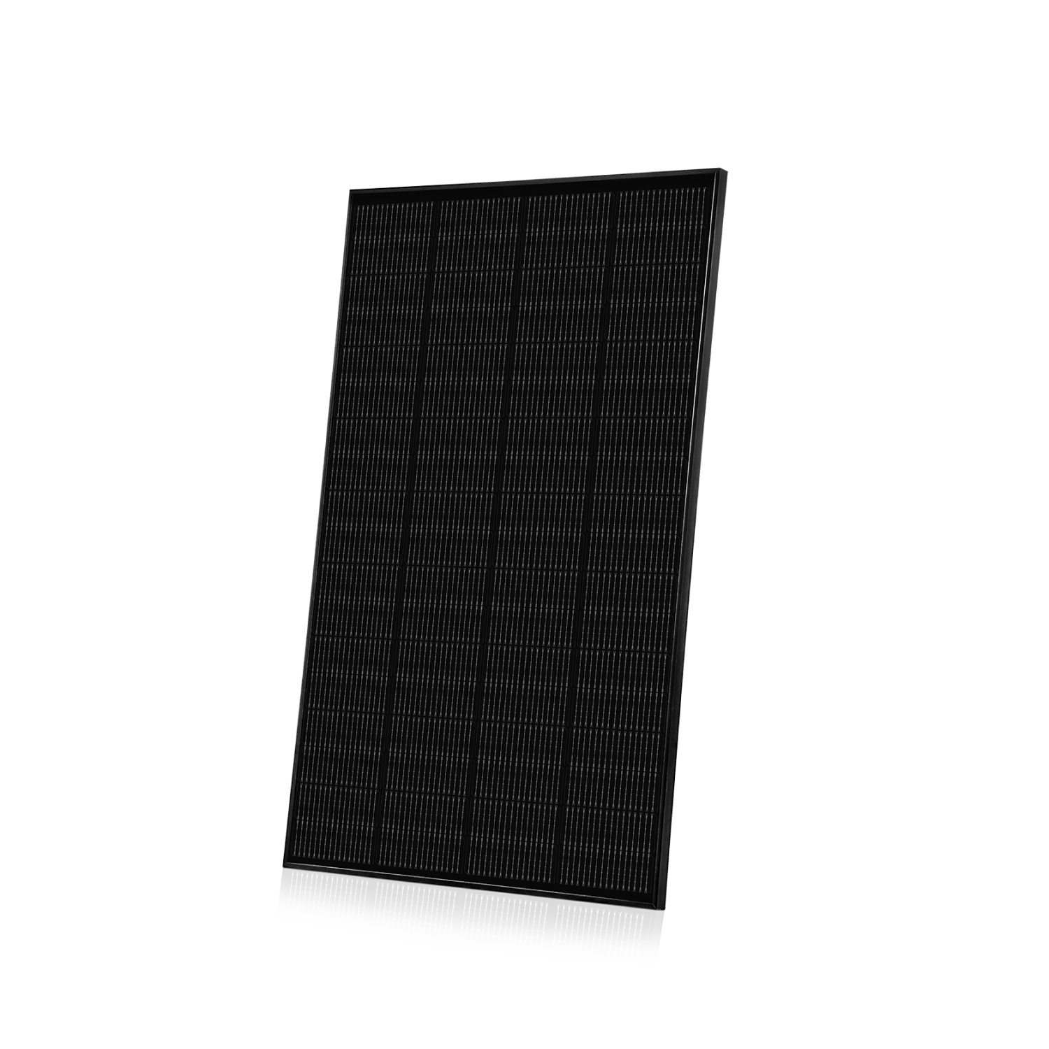 Ray Solarmodul 200W Komplett Schwarz - 1*200W Solarmodul / Ohne MC4-Adapterkabel