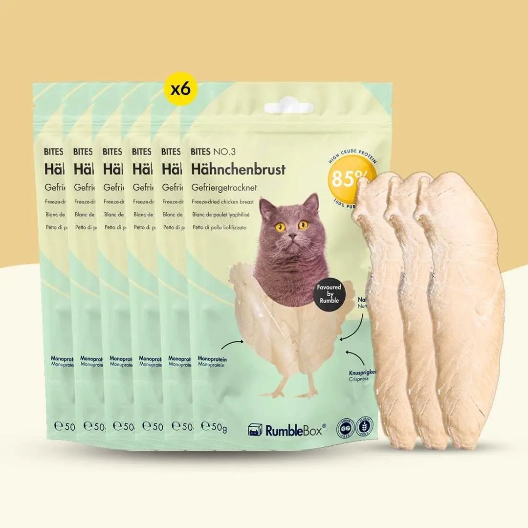 XXL Sparbox Hähnchenbrust 6x50g