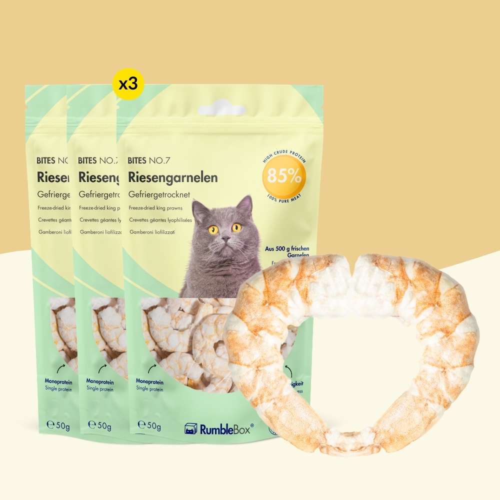 XXL Sparbox Riesengarnele 3x50g