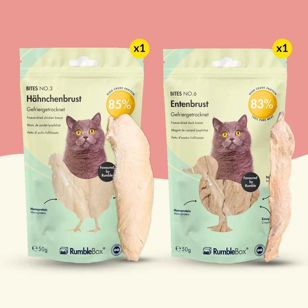 Sparbox Genussbissen 2x50g