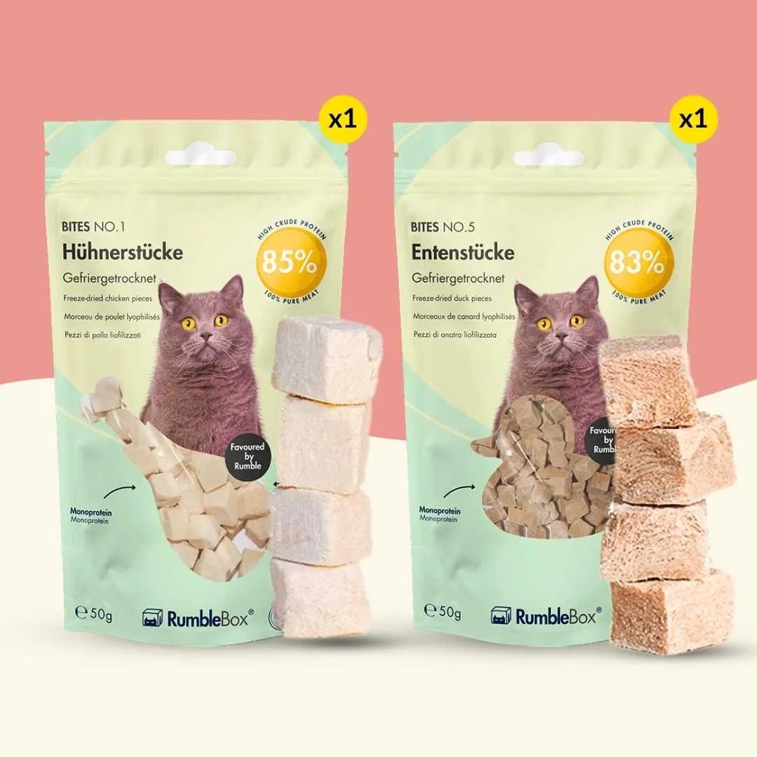 Sparbox Snackfreunde 2x50g