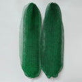 2 PCS Authentic African Exfoliating Net Bath Sponge - 2 PCS Green